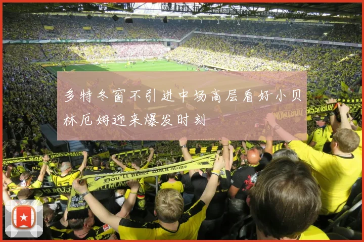 多特冬窗不引进中场高层看好小贝林厄姆迎来爆发时刻