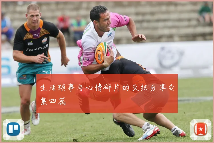 生活琐事与心情碎片的交织分享合集四篇