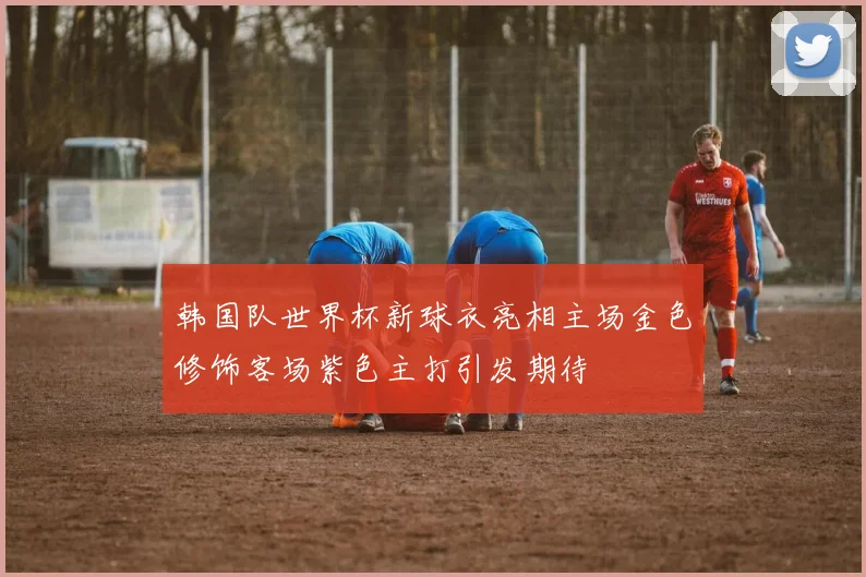 韩国队世界杯新球衣亮相主场金色修饰客场紫色主打引发期待